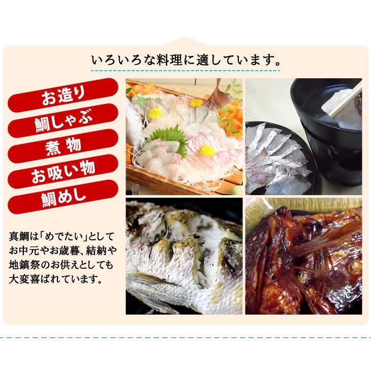 活〆 真鯛 普通サイズ 1尾 1.0kg　[魚介類]｜isemaruka｜05