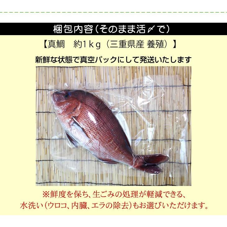 真鯛 普通サイズ 捌いてお届けできます 1 0ｋｇ 魚介類 Madai M 005 まるか水産yahoo 店 通販 Yahoo ショッピング