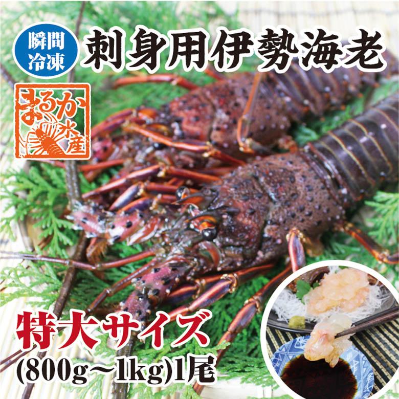 トミーページ　伊勢海老冷凍2kg トミーページ 伊勢海老冷凍2kg 伊勢海老,普通サイズ | まるか