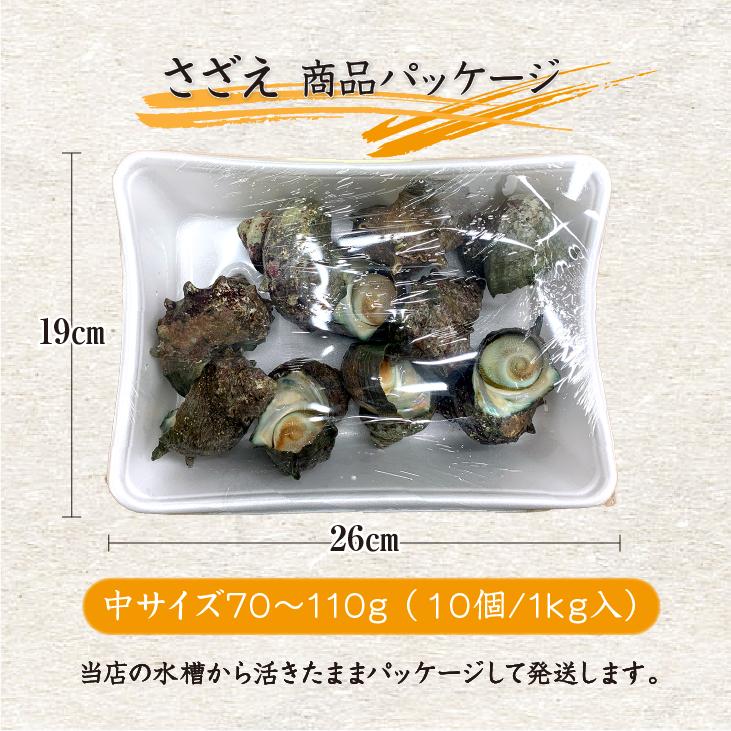 天然活 さざえ 中サイズ 1kg 10個 70〜110g [さざえ] : まるか水産