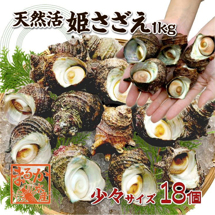 天然活 姫さざえ 少々サイズ 1kg 18個 40〜60g [さざえ] : まるか水産