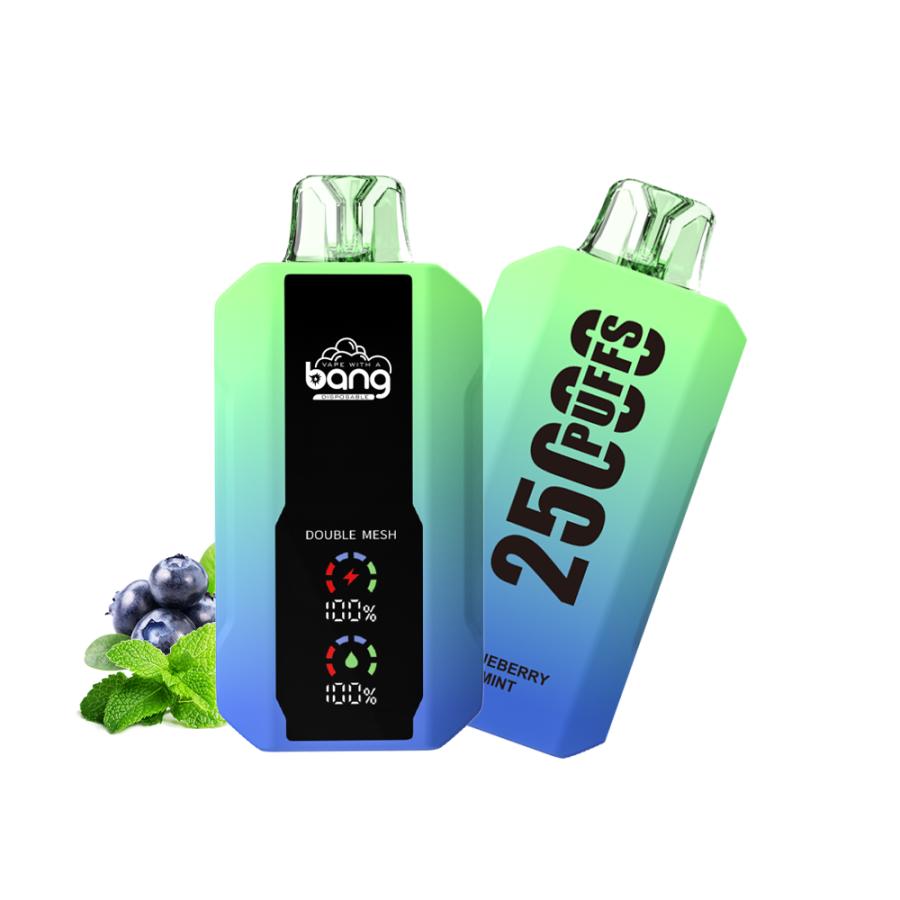 電子タバコ ベイプ 使い捨て 最大25000回吸引可能 フレーバー 12種類 タール ニコチンフリー 本体 vape リキッド 30ml ...