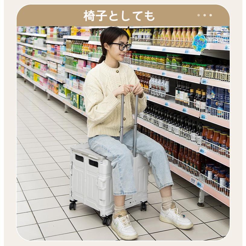 キャリーカート 折畳み カート 簡単組み立て ショッピングカート 荷物