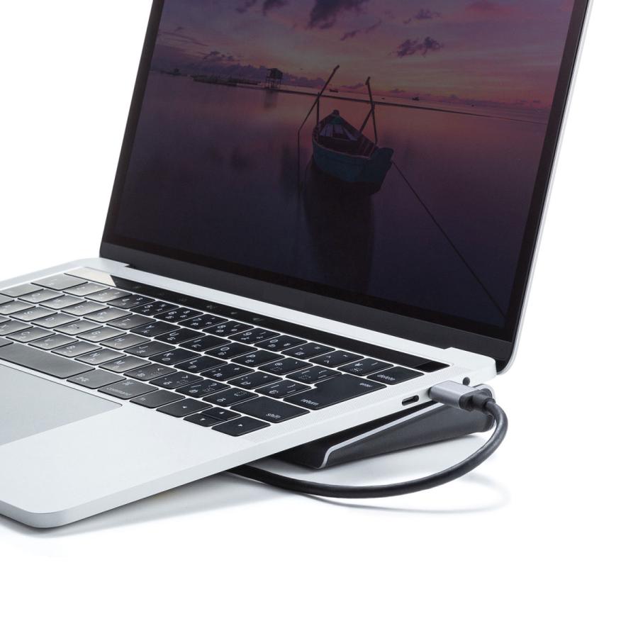 SANWA SUPPLY（サンワサプライ） USB Type-Cドッキングステーション