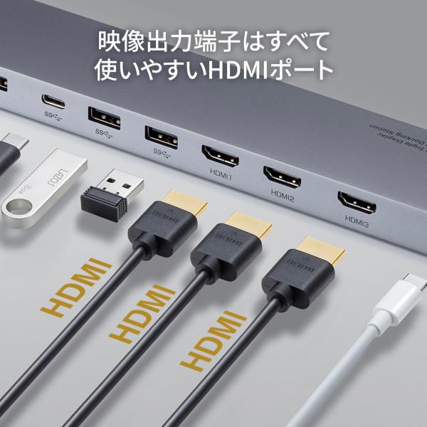 SANWA SUPPLY（サンワサプライ） USB Type-Cドッキングステーション