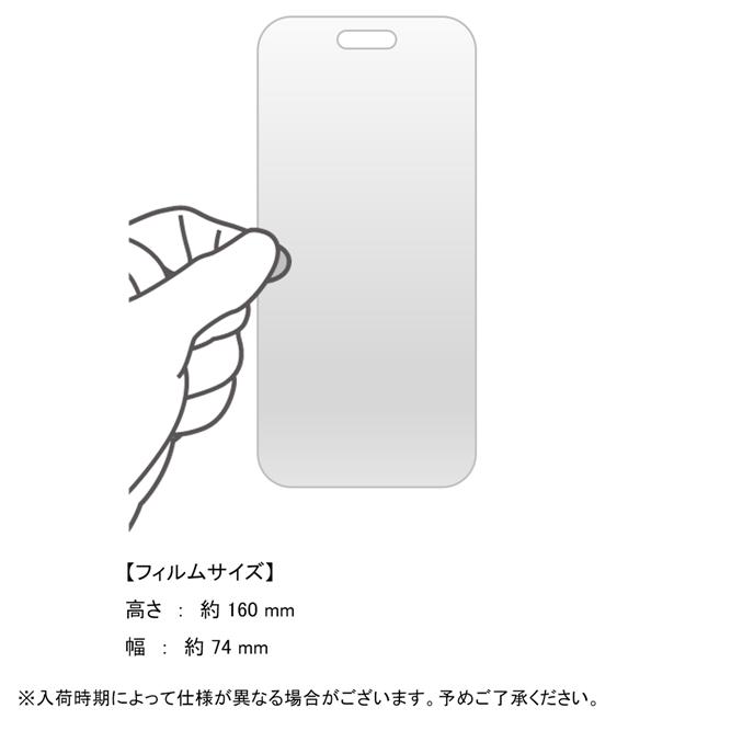 iPhone 16 Pro Max 保護フィルム 本体 保護 フィルム PET スマホ 