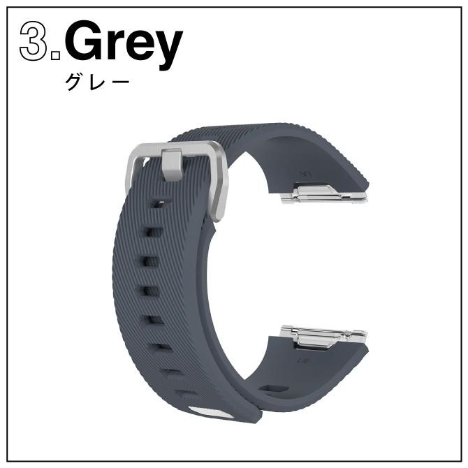 Google Fitbit ( 在庫限り！超特価セール ) Fitbit Ionic バンド