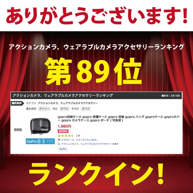 GoPro HERO13 /12 /11 ゴープロ ヒーロー13 /13 /11 本体 保護 ケース カバー 収納 バッグ アクセサリー（優良配送） | GoPro | 01