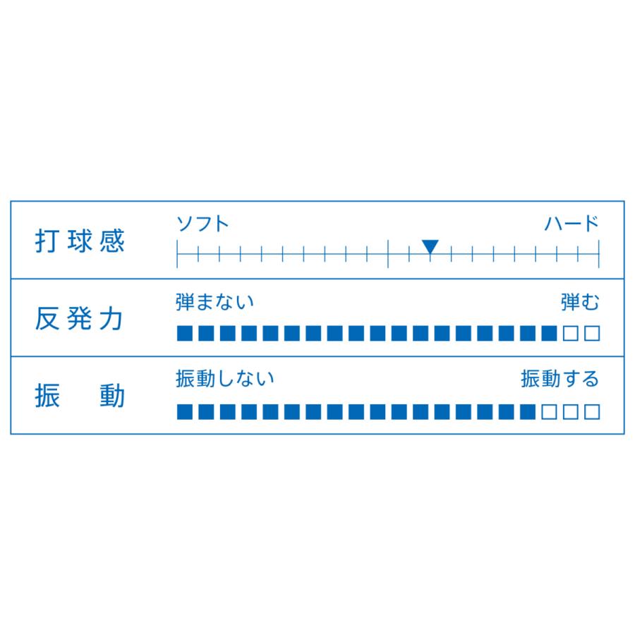 VICTAS（ヴィクタス） VICTAS QUARTET VFC カルテット VFC FL ST
