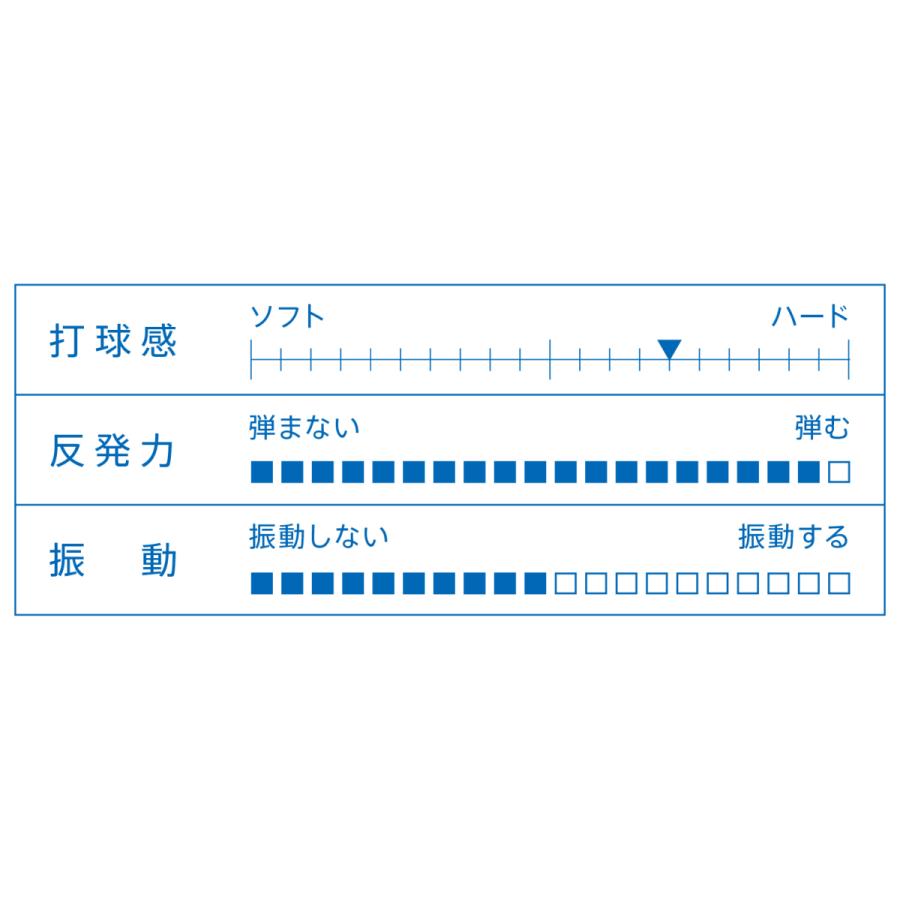 逆輸入逆輸入VICTAS DYNAM 10.5 ダイナム 10.5 日本式ペン 卓球