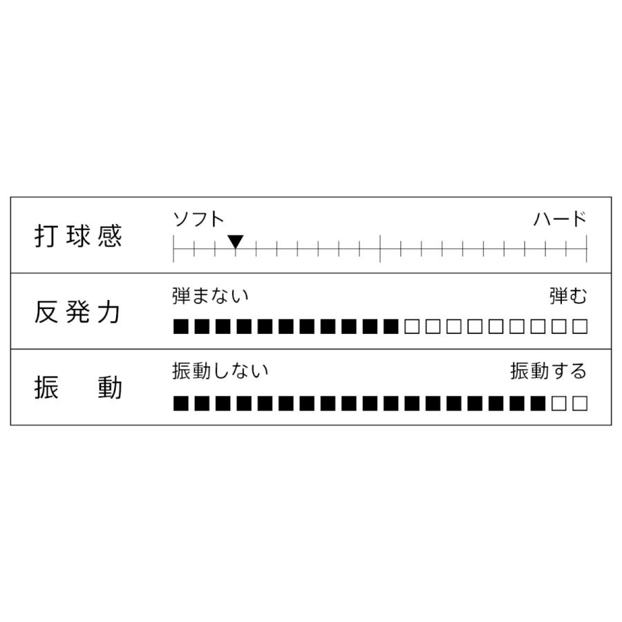 VICTAS（ヴィクタス） スーパーディフェンシブ FL SUPER DEFENSIVE
