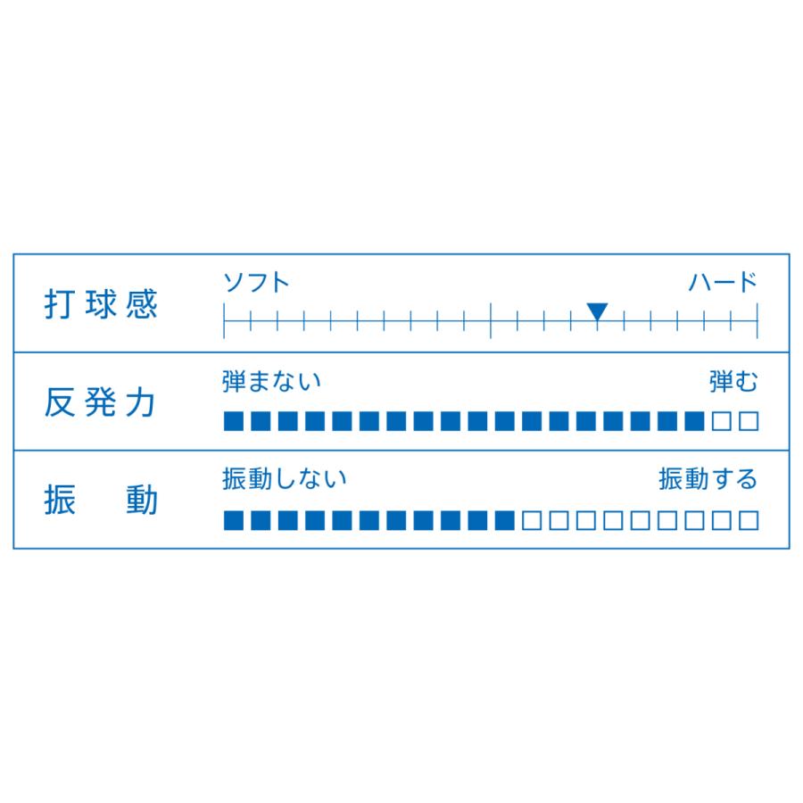 VICTAS HINO-CARBON POWER FL ST ヒノカーボンパワー フレア