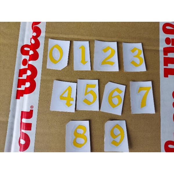 【NPB仕様番号入】ウィルソンNPB仕様　硬式審判用　プロゴールドプロテクター