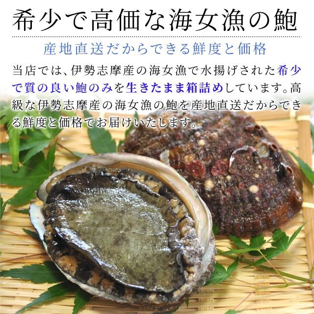 全国宅配無料 黒あわび姿煮 大サイズ２個入り 木箱入 詰合せ Krs 三重県 伊勢 志摩 お土産 最安値 Www Teamlabs Es