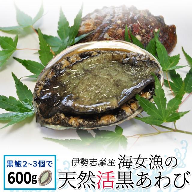 100 の保証 海女漁 天然 活 黒あわび６００ｇ ２ ３個 送料無料 お好みの個数が選べます 三重県 伊勢志摩産 アワビ 夏季限定 お中元 ギフト 最適な価格 Skywingstoursandtravels Com