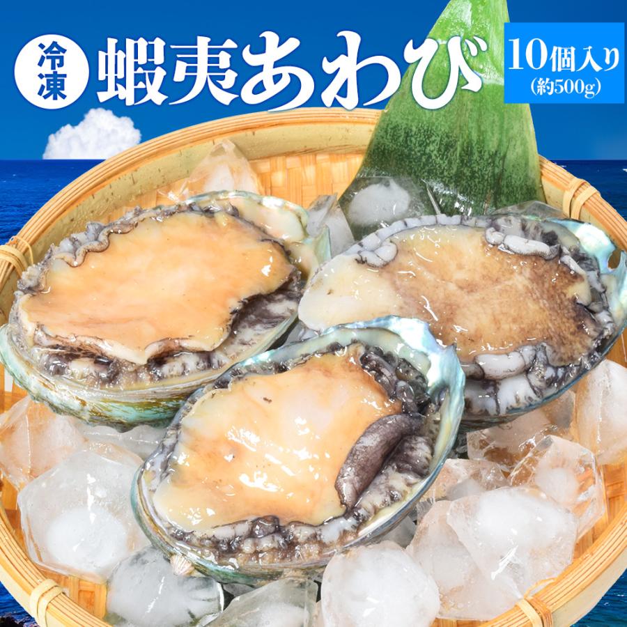 あわび 鮑 10個入り（約500g前後）（貝むきナイフ・片手用軍手付