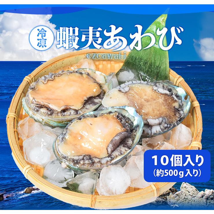 あわび 鮑 10個入り（約500g前後）（貝むきナイフ・片手用軍手付