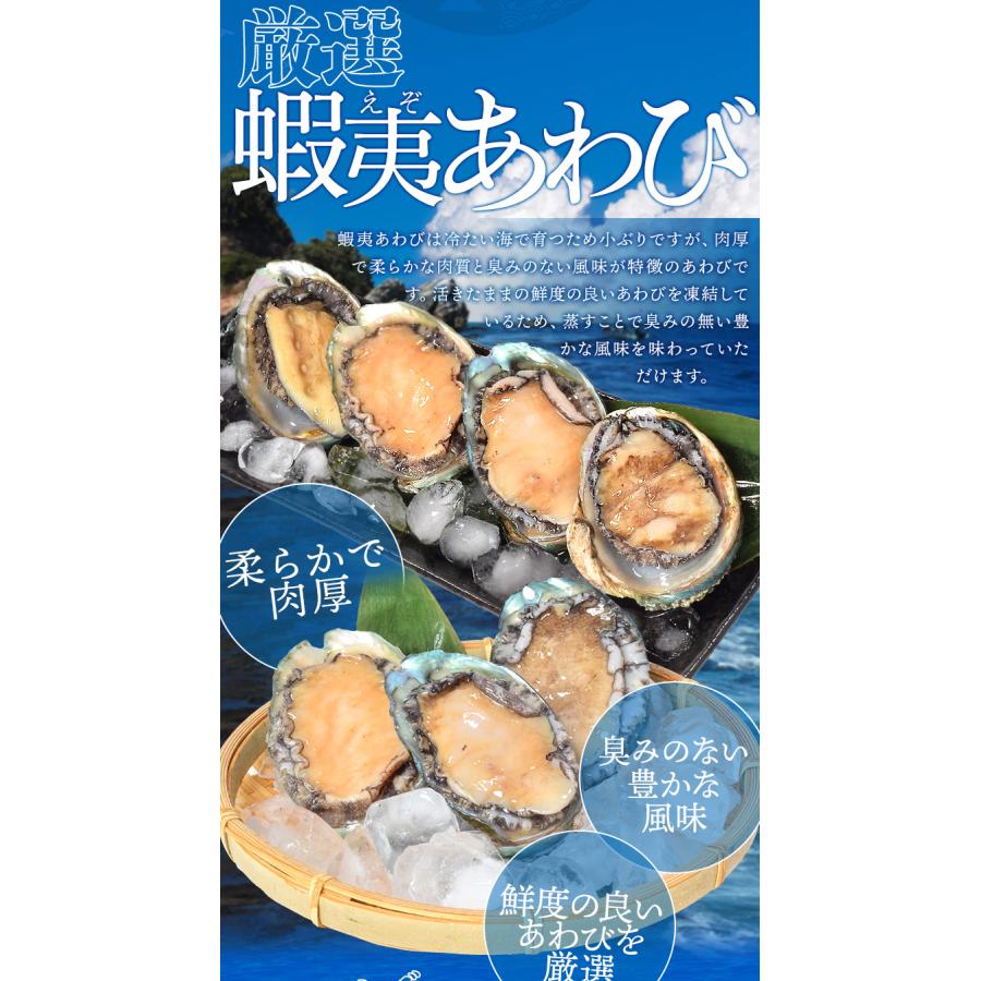 あわび 鮑 10個入り（約500g前後）（貝むきナイフ・片手用軍手付