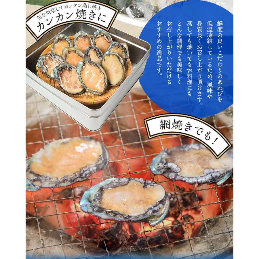 あわび　貝殻　約19×16㎝ あわび 鮑 20個入り（約1kg前後）（貝むきナイフ・片手用軍手付