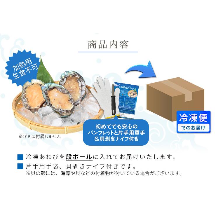 あわび 貝殻 約17×13㎝ 2026年最新】アワビ 貝殻の人気アイテム - メルカリ