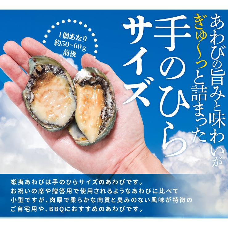 あわび カンカン焼きセット 10個入り（約500g前後） 鮑（貝むき