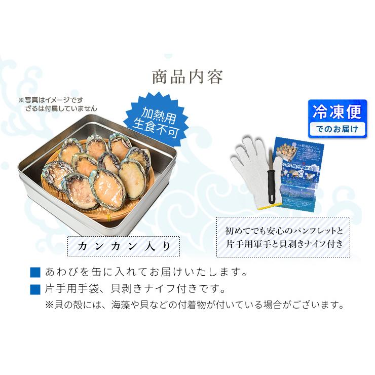 あわび カンカン焼きセット 10個入り（約500g前後） 鮑（貝むき