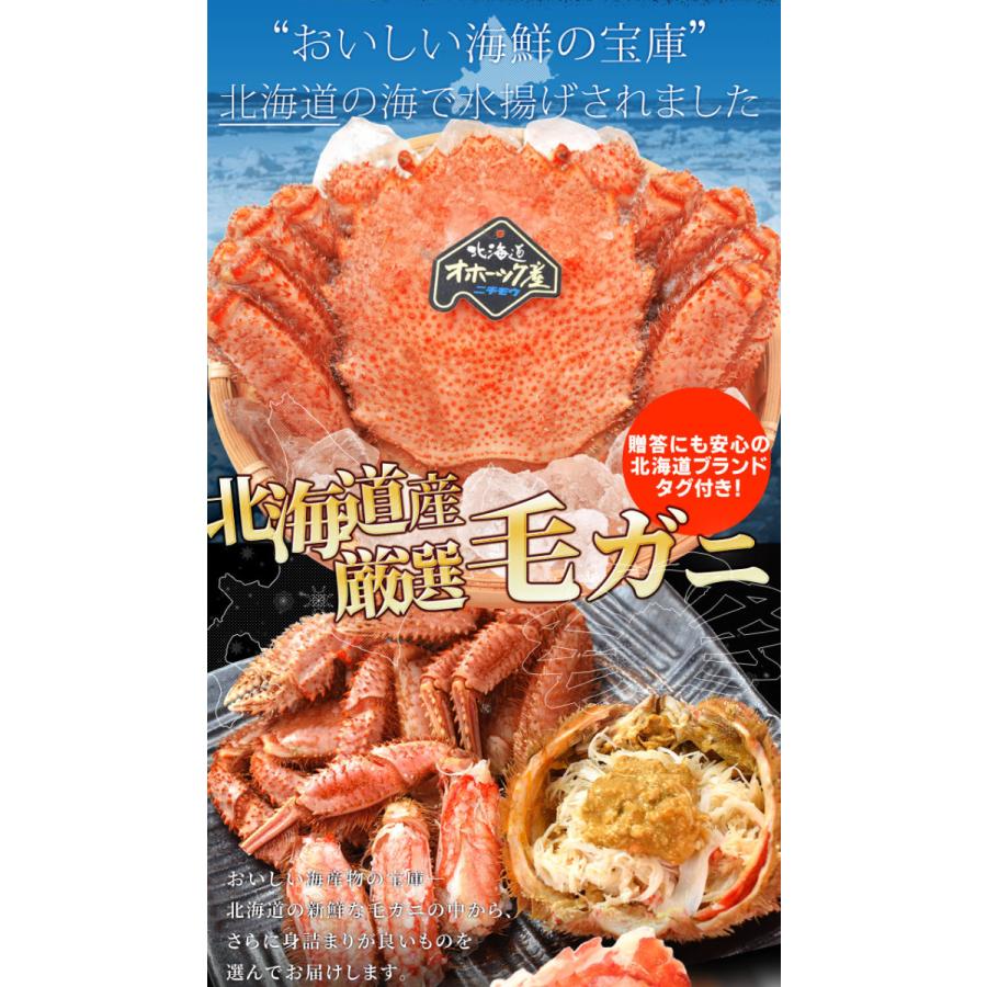 毛ガニ 姿 ボイル 2尾 約1kg(約500g×2杯) 北海道 ブランドタグ付 毛蟹 毛がに 冷凍 送料無料 蟹 かにみそ 海鮮 :bkgn0101:伊勢鳥羽志摩特産横丁 - 通販 - Yahoo!ショッピング 毛ガニ 姿 ボイル 2尾 約1kg(約500g×2杯) 北海道 ブランドタグ付 毛蟹 毛がに 冷凍 送料無料 蟹 かにみそ 海鮮 :bkgn0101:伊勢鳥羽志摩特産横丁 - 通販 - Yahoo!ショッピング