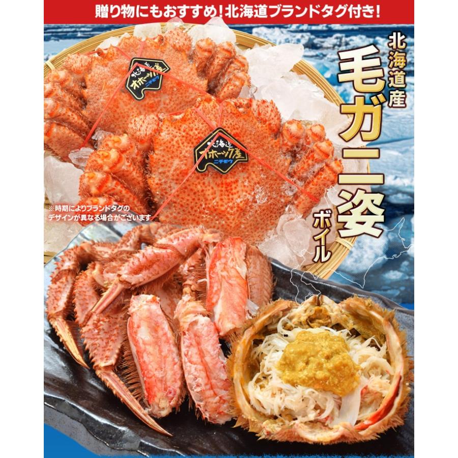 毛ガニ 姿 ボイル 3尾 約1．5kg（約500g×3杯） 北海道 