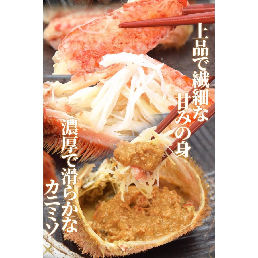 毛ガニ 姿 ボイル 3尾 約1．5kg（約500g×3杯） 北海道