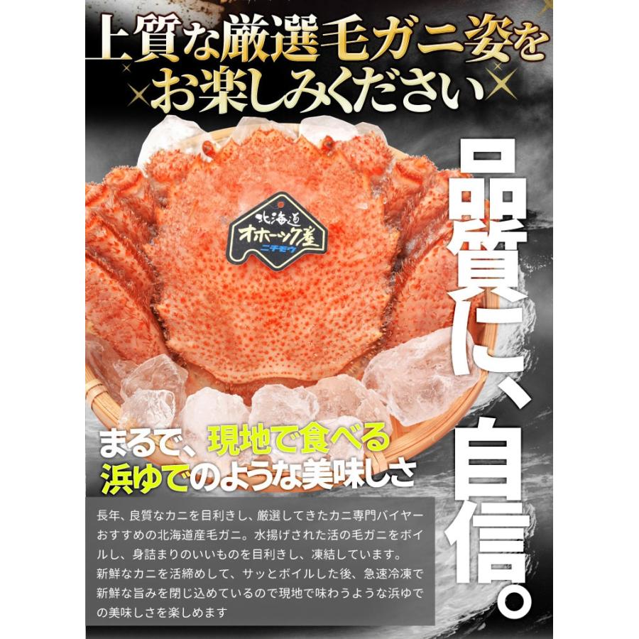 毛ガニ 姿 ボイル 3尾 約1．5kg（約500g×3杯） 北海道