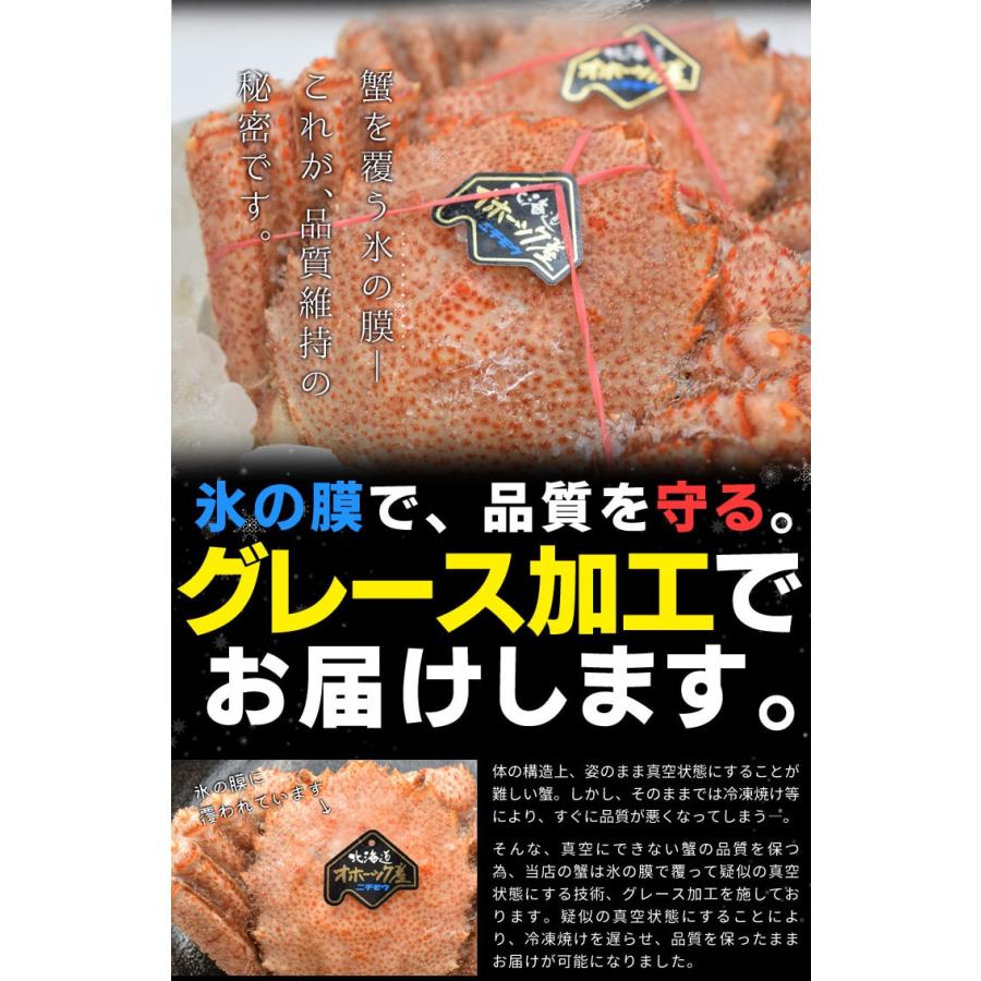 毛ガニ 姿 ボイル 3尾 約1．5kg（約500g×3杯） 北海道