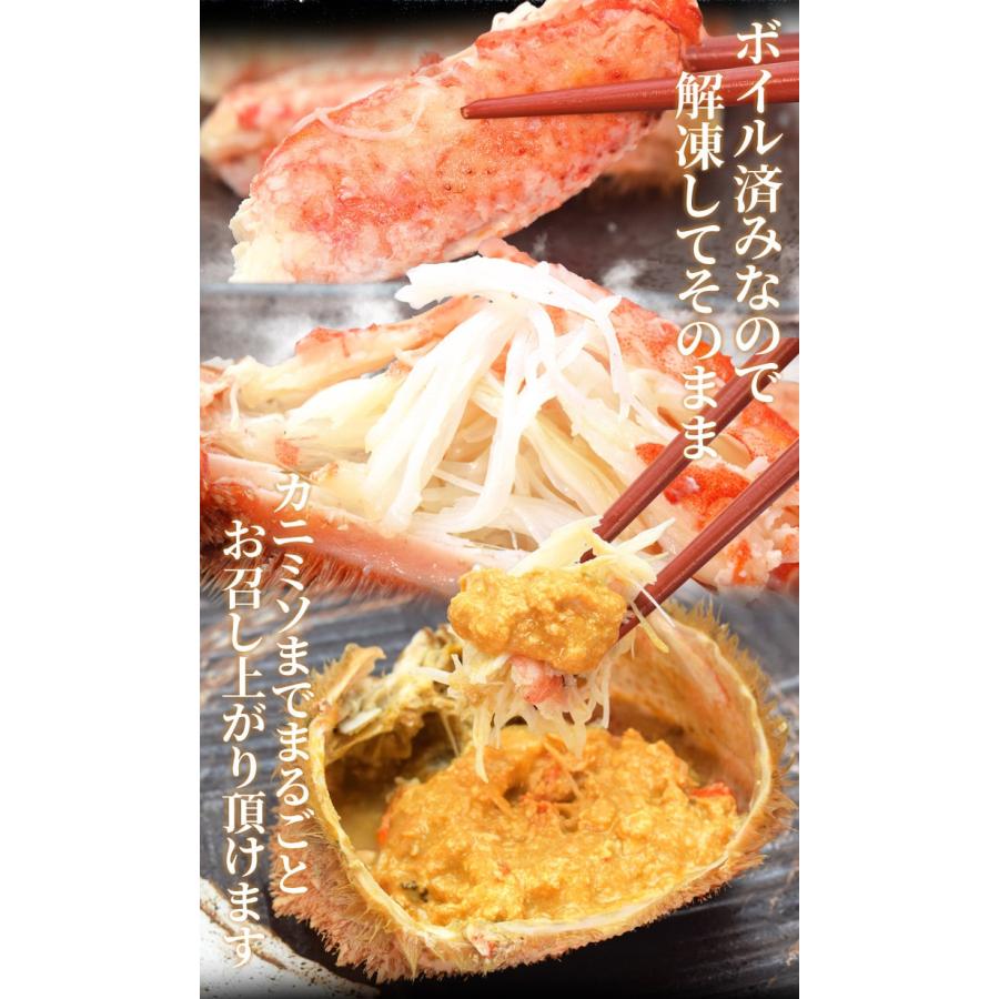 毛ガニ 姿 ボイル 3尾 約1．5kg（約500g×3杯） 北海道