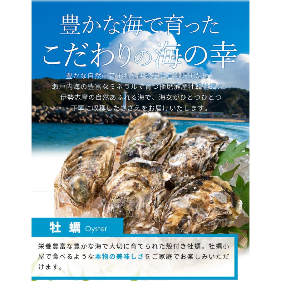 牡蠣 さざえ カンカン焼き セット 冷凍 送料無料 牡蠣１０個とサザエ５個 ミニ缶入り 牡蠣ナイフ 片手用軍手付き 殻付き 牡蠣 １斗缶 三重県 鳥羽産 Ckakisazae01 伊勢鳥羽志摩特産横丁 通販 Yahoo ショッピング