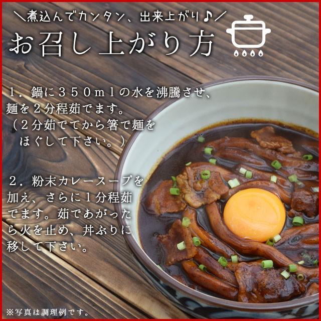 黒カレー 伊勢うどん お試し ４食入 メール便 送料無料 伊勢 名物 伊勢うどん 太麺にカレールーが絡む 10種のスパイスと和風だしの効いた本格ピリ辛大人味 NP | ブランド登録なし | 02