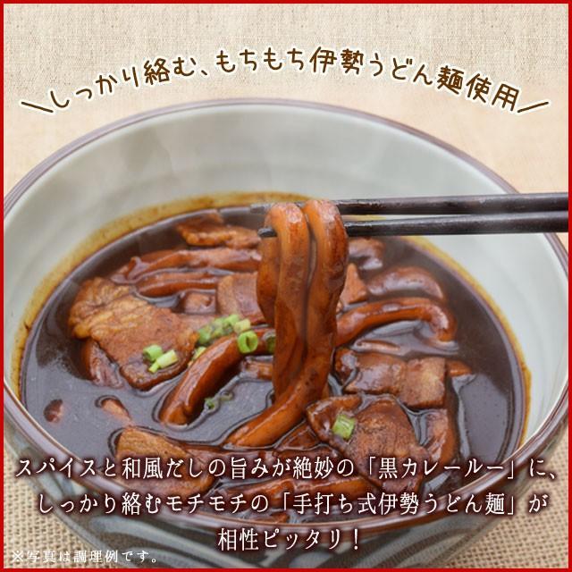 黒カレー 伊勢うどん お試し ４食入 メール便 送料無料 伊勢 名物 伊勢うどん 太麺にカレールーが絡む 10種のスパイスと和風だしの効いた本格ピリ辛大人味 NP | ブランド登録なし | 03