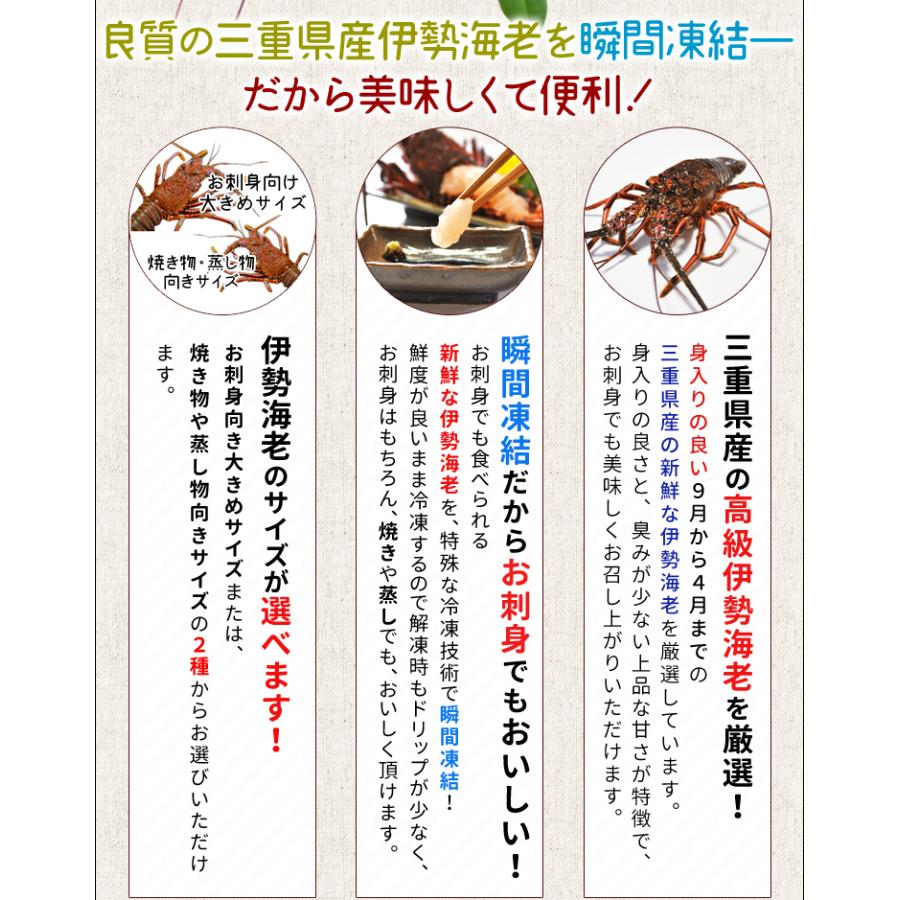 伊勢海老 三重県産 ９００ｇ サイズ限定特別価格 送料無料 刺身用瞬間冷凍 伊勢エビ イセエビ 敬老の日 ギフト D Fiseebi01 伊勢鳥羽志摩特産横丁 通販 Yahoo ショッピング