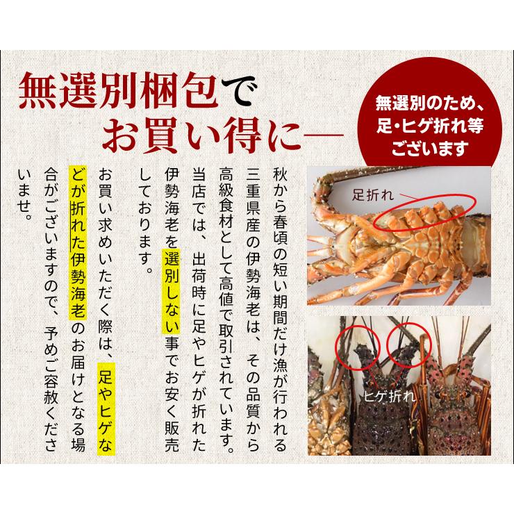 伊勢海老 三重県産 ９００ｇ サイズ限定特別価格 送料無料 刺身用瞬間冷凍 伊勢エビ イセエビ 残暑見舞い ギフト D Fiseebi01 伊勢鳥羽志摩特産横丁 通販 Yahoo ショッピング