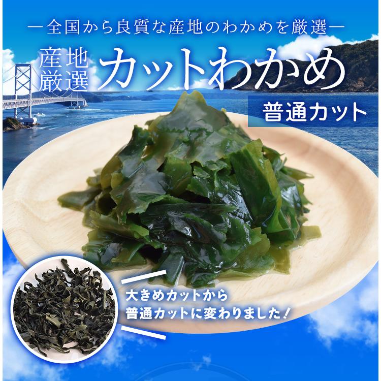 わかめ 産地厳選 乾燥 カットわかめ 90g 普通カット 国産（三重県産