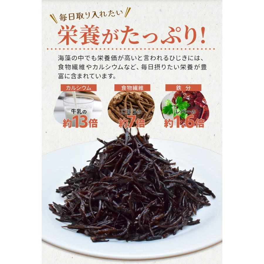 ひじき 200g 伊勢ひじき 九州ひじき 産地厳選 メール便送料無料