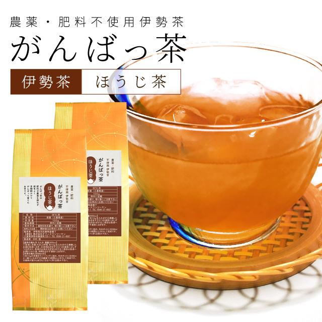 伊勢茶 ほうじ茶２００ｇ（１００ｇ×２個） お茶 無農薬 日本茶 三重県産 農薬・肥料不使用栽培（Yahoo!・伊勢鳥羽志摩特産横丁）