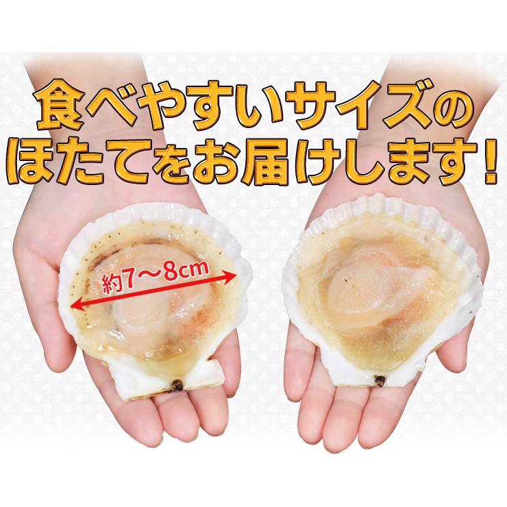 ほたて カンカン焼きセット ２０枚入 冷凍ほたて 送料無料 北海道産 半缶入り（貝むきナイフ・片手用軍手付き） ほたて片貝 海鮮 バーベキューセット | ブランド登録なし | 05