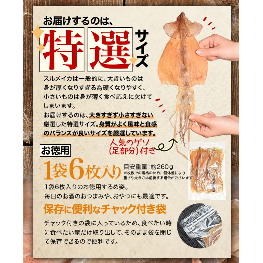 スルメ様 するめ 姿 北海道産 特選品 1袋6枚入り 朝獲れ 生イカ使用 おつまみ