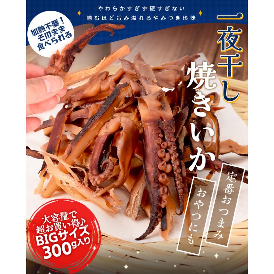 一夜干し 焼きいか おつまみ イカ ３００ｇ 大容量 お得サイズ 珍味 肴 チャック付袋入 | ブランド登録なし | 01