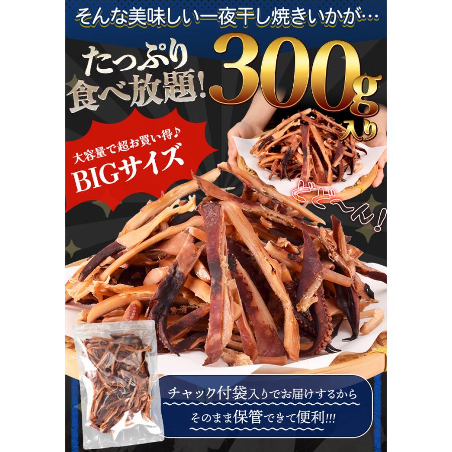 一夜干し 焼きいか おつまみ イカ ３００ｇ 大容量 お得サイズ 珍味 肴 チャック付袋入 | ブランド登録なし | 05
