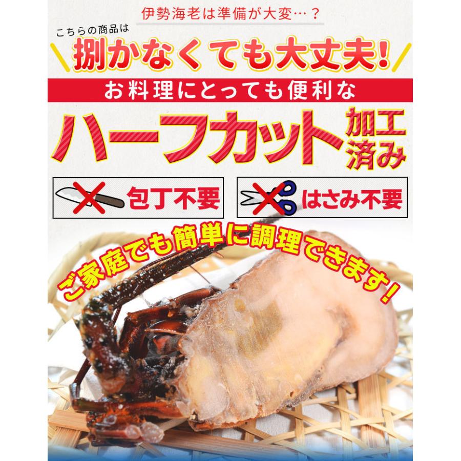 伊勢海老半身 中サイズ６個 鮮度の良い三重県産伊勢海老を瞬間凍結 調理しやすいよう半分にカット 海鮮 バーベキュー q テルミドール イセエビ いせえび Iseebihalf06 伊勢鳥羽志摩特産横丁 通販 Yahoo ショッピング