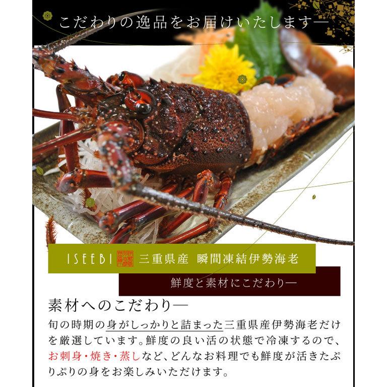 伊勢海老 詰合せ ２ ３尾で５００ｇ 送料無料 美し国 三重 伊勢路 縁 ギフト パッケージ 刺身用 瞬間 冷凍 伊勢エビ 詰合せ 敬老の日 父の日 ギフト Iseji Enishi500g 伊勢鳥羽志摩特産横丁 通販 Yahoo ショッピング