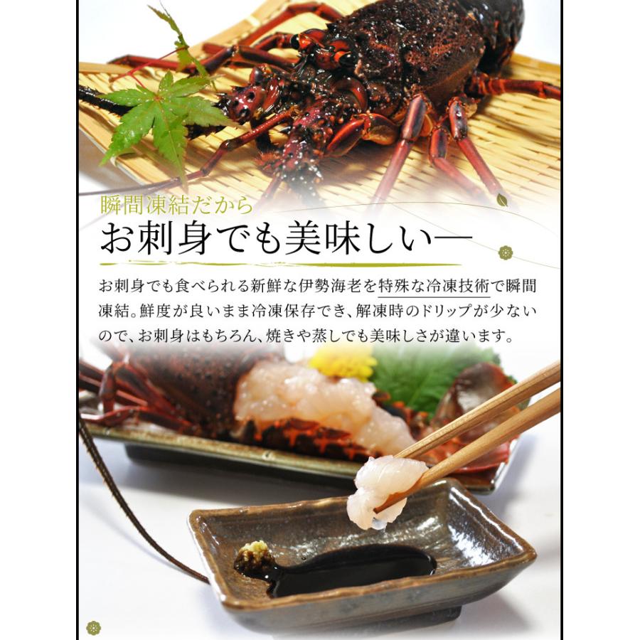 伊勢海老 伊勢まぐろ 海鮮 詰合せ 美し国 三重 伊勢路 華 ギフト パッケージ 三重県産 伊勢海老 １尾 と伊勢 まぐろ 中トロ １柵 お歳暮 ギフト Iseji Hana1 1 伊勢鳥羽志摩特産横丁 通販 Yahoo ショッピング