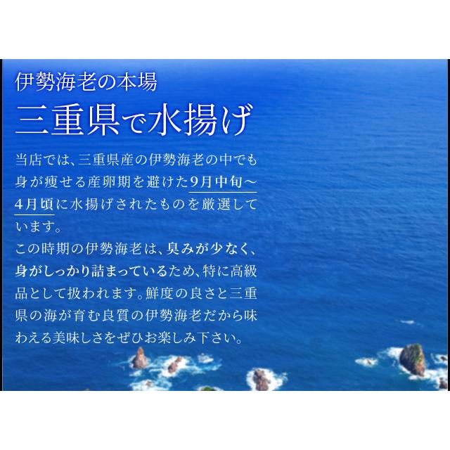 松阪牛 伊勢海老 詰合せ 美し国 三重 伊勢路 −慶−ギフト パッケージ Ａ５ランク厳選 松阪牛 赤身 すき焼き 肉 ３８０ｇ 三重県産 伊勢海老 ２尾で４００ｇ｜isesima｜06