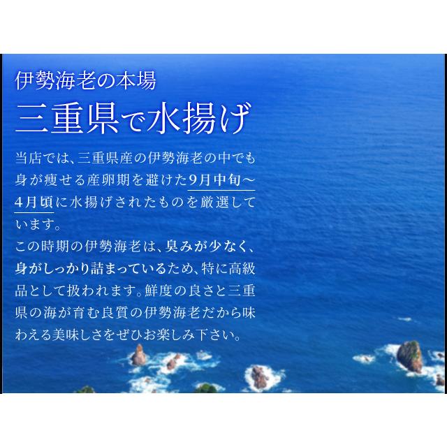 松阪牛 伊勢海老 詰合せ 美し国 三重 伊勢路 −極−ギフト パッケージ Ａ５ランク厳選 松阪牛 特選 すき焼き 肉 ３００ｇ 三重県産 伊勢海老 ２尾 詰合せ_5