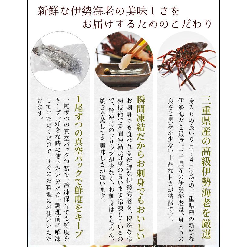 松阪牛 伊勢海老 詰合せ 美し国 三重 伊勢路 −極−ギフト パッケージ Ａ５ランク厳選 松阪牛 特選 すき焼き 肉 ３００ｇ 三重県産 伊勢海老 ２尾 詰合せ_6